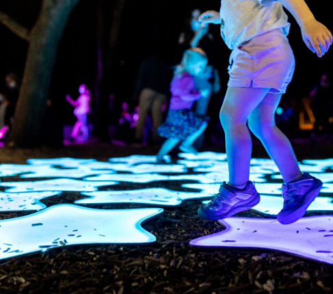 090_LouZooWildLights-1024x683-640x480 1