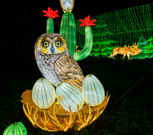 322_ LA Lanterns _ Oden & Janelle Photographers LLC 2024 _ odenandjanelle 1 (2)