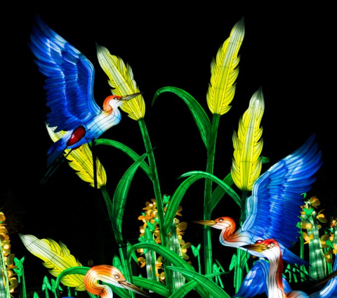 OAKLAND-LANTERN-FESTIVAL-2023-465-681x1024 (1) (2)