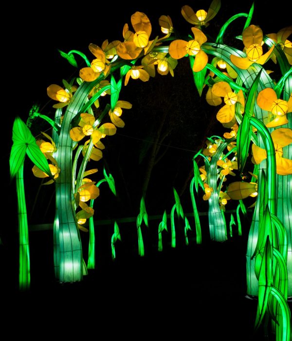 OAKLAND-LANTERN-FESTIVAL-2023-365-scaled